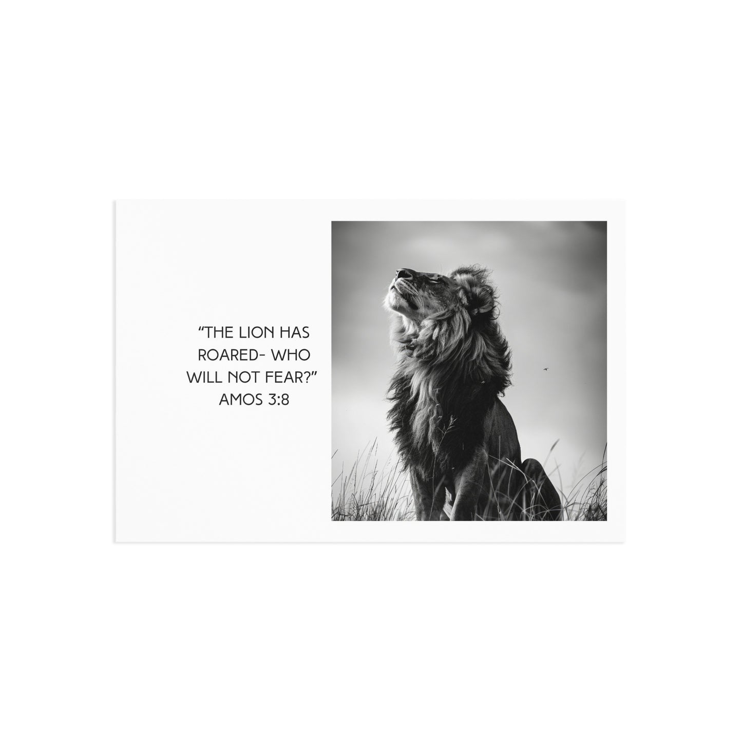 Amos 3:8 Fine Art Postcard — 'A Lion Roars' Biblical Scripture Postcard